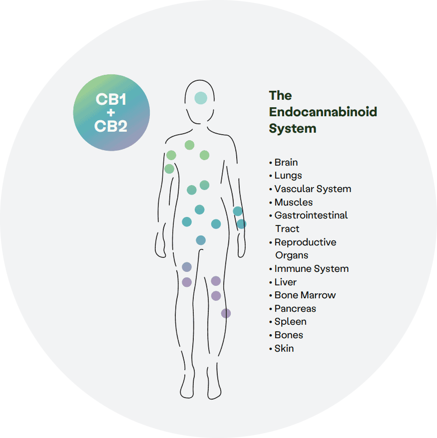 CBD pri COVID-19