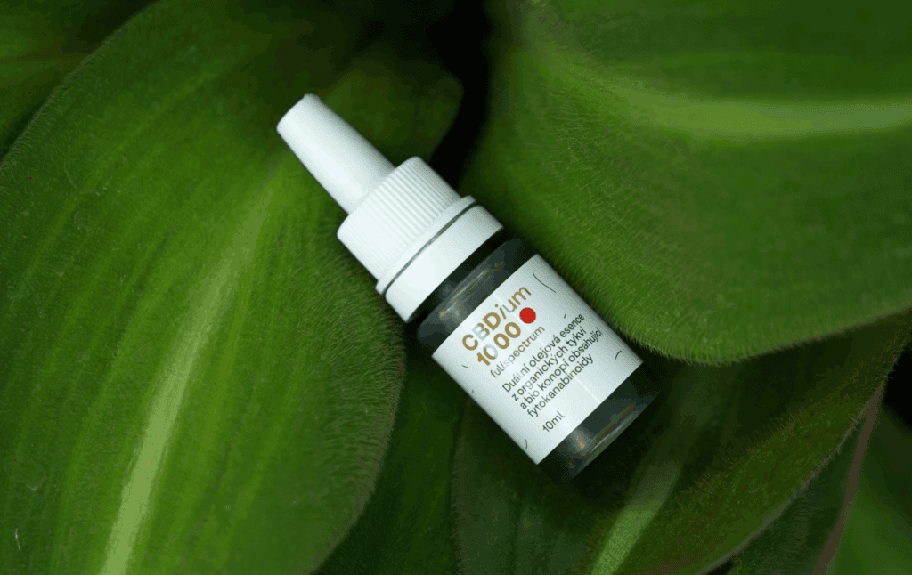 cbd a epilepsia cbdium